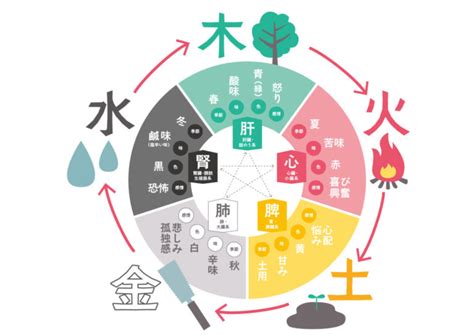 五行 体の部位|五行説の概要と人体との関係 